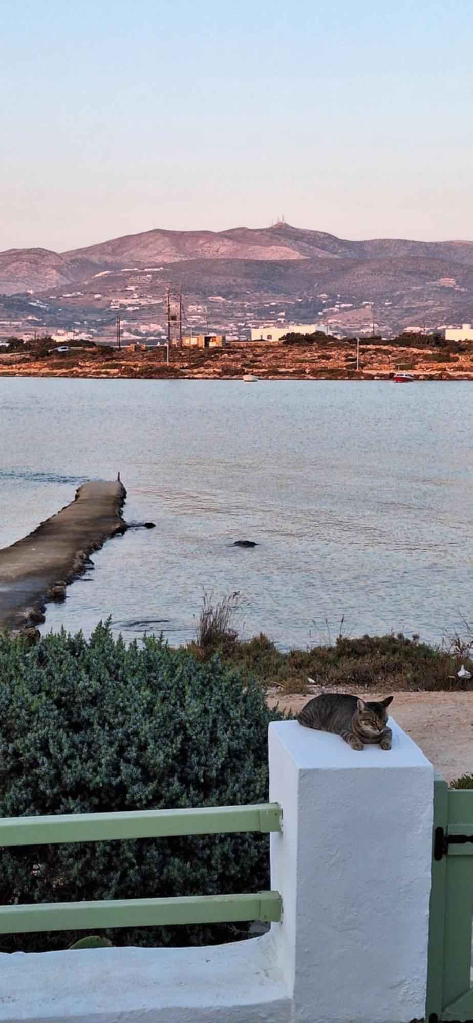 Mike'Splace Antiparos Exterior photo